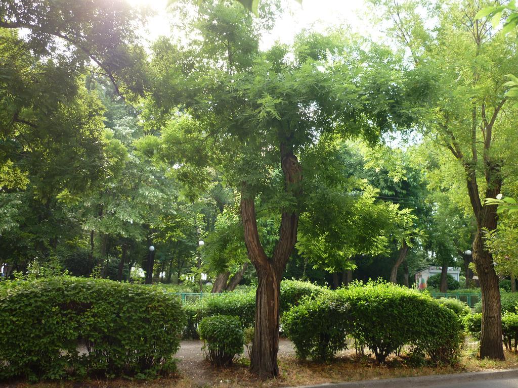 Sea Garden Plaza Apartment - Free Parking Бургас Номер фото