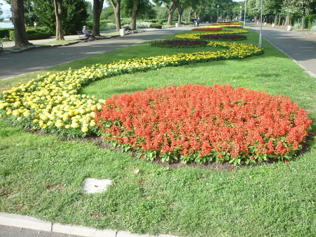Sea Garden Plaza Apartment - Free Parking Бургас Номер фото